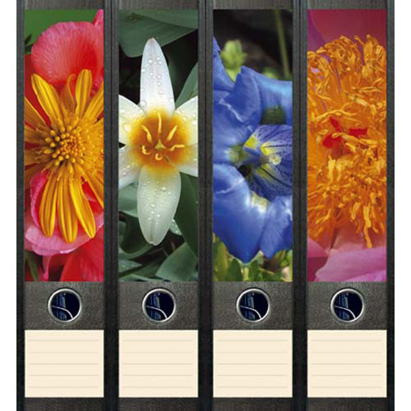 Afbeelding van ordnerrug File Art zelfklevend 4stuks 60x210mm flowers