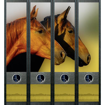 Afbeeldingen van ordnerrug File Art zelfklevend 4stuks 60x210mm horses