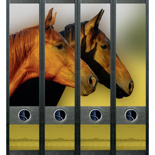 Afbeelding van ordnerrug File Art zelfklevend 4stuks 60x210mm horses