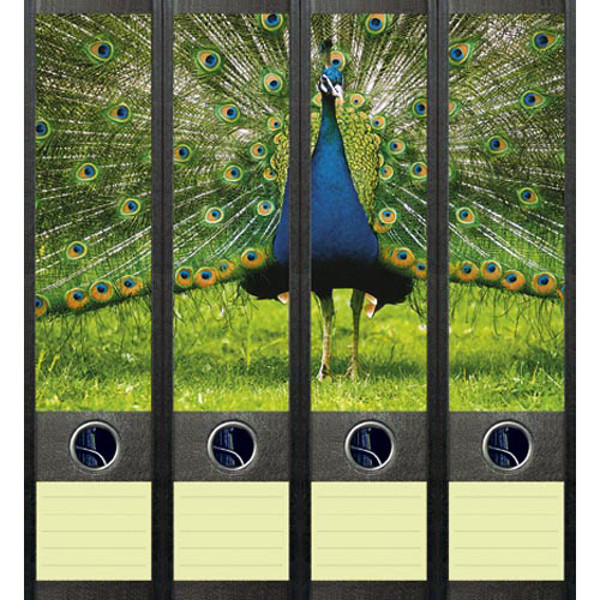 Afbeelding van ordnerrug File Art zelfklevend 4stuks 60x210mm peacock