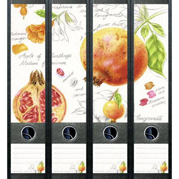 Afbeelding van ordnerrug File Art zelfklevend 4stuks 60x210mm pomegranate