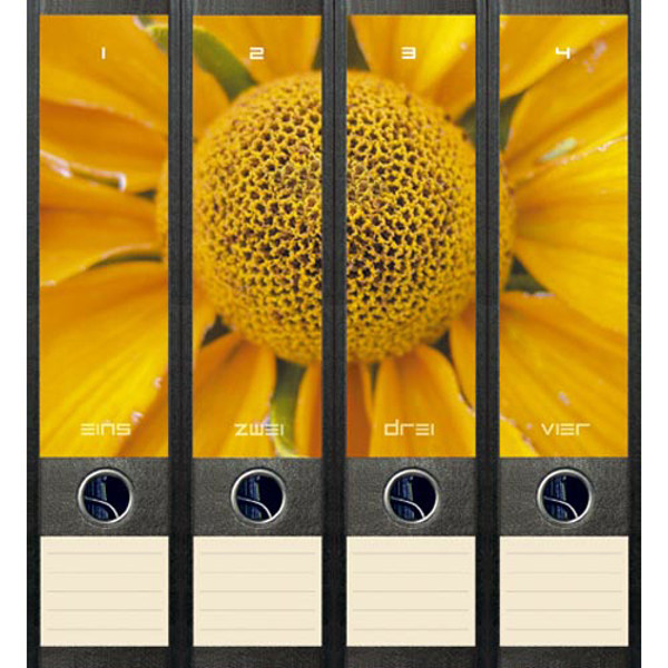 Afbeelding van ordnerrug File Art zelfklevend 4stuks 60x210mm sunflower
