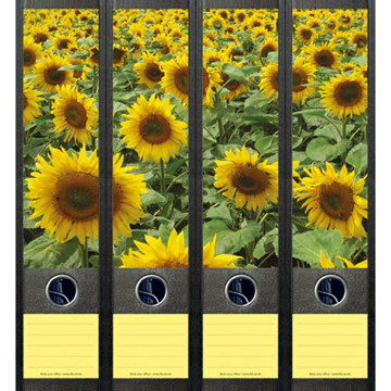 Afbeeldingen van ordnerrug File Art zelfklevend 4stuks 60x210mm sunflower field