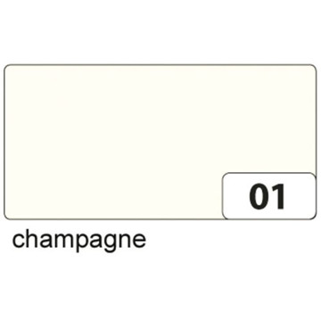 Afbeeldingen van fotokarton Folia 2zijdig B2 (50x70cm) 300gr nr01 - champagne