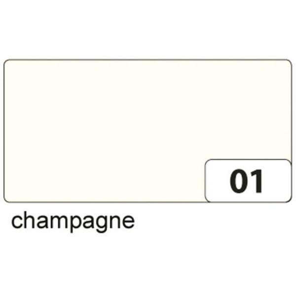 Afbeelding van fotokarton Folia 2zijdig B2 (50x70cm) 300gr nr01 - champagne