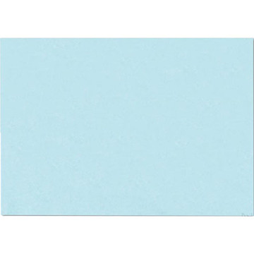 systeemkaart Exacompta 105x148mm blauw  blanco (A6) 205gr