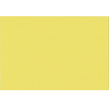 systeemkaart Exacompta 105x148mm geel   blanco (A6) 205gr