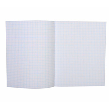 schrift A5 ruit  5mm                  80blz. 10stuks