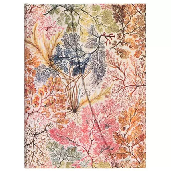 Paperblanks Anemone Midi gelijnd