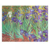 Paperblanks van Gogh's Irises Guest Book blanco