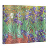 Paperblanks van Gogh's Irises Guest Book blanco