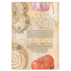 Paperblanks  Flexis Lily & Tomato Midi gelijnd