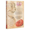 Paperblanks  Flexis Lily & Tomato Midi gelijnd