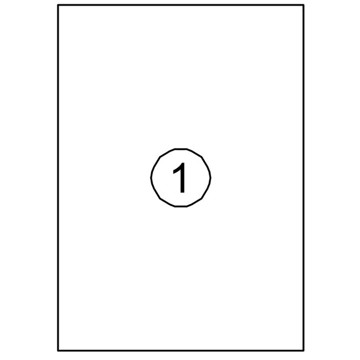 etiket Quantore 210.0x297.0mm 100vel  100stuks (A4)