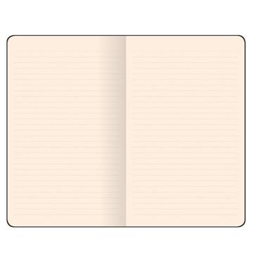 Flexbook Visions Notebook Pocket Black gelijnd