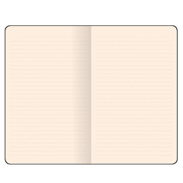 Flexbook Notebook Large Orange gelijnd
