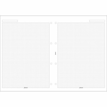 filofax A4 papier ruit