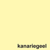 kopieerpapier Quantore Colour A4 160gr  50vel kanariegeel
