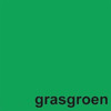 kopieerpapier Quantore Colour A4 120gr 100vel grasgroen
