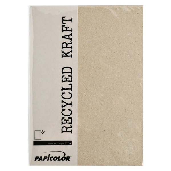 Papicolor Recycled Kraft A4 220gr  6vel grijs