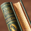 Paperblanks Lord of the Rings - Power of Fellowship Midi gelijnd