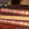Paperblanks Lord of the Rings - The Quest Continues Midi blanco